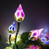 Nine fiber optic LED lotus lamps, plug-in household lotus lamps, are offered before the Buddha undefined